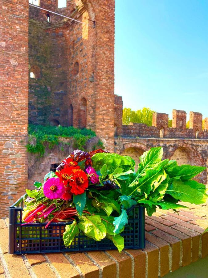 Apartament Ca' Del Sole - Attico Panoramico In Centro Storico Montagnana  Zewnętrze zdjęcie